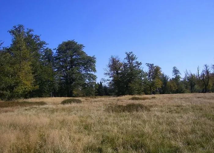 Prázdninový dům 1-bedroom Ludwigsthal